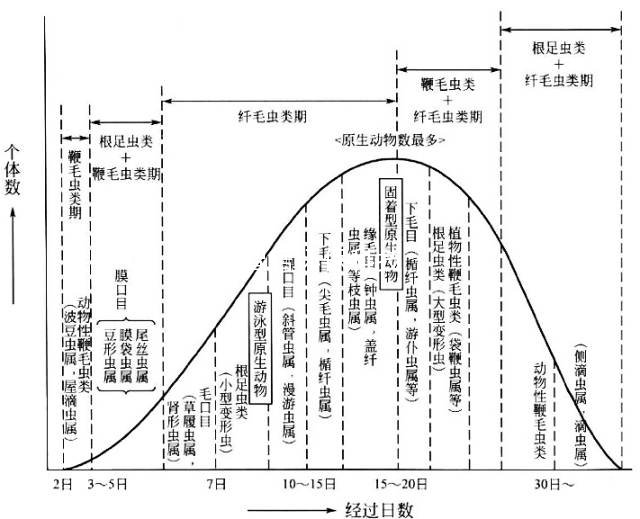 活性污泥生物變化